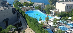Artemis Beach House